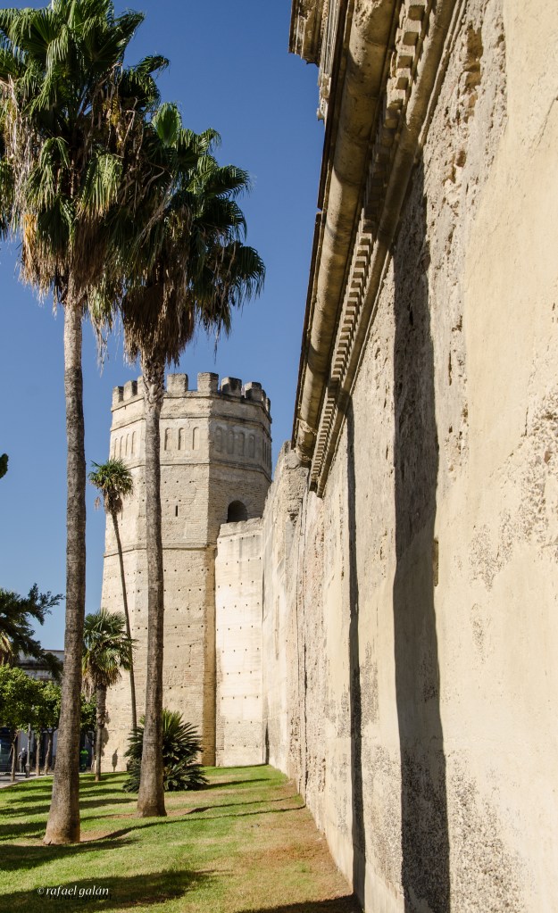 Alcázar de Jerez. Torre Octogonal