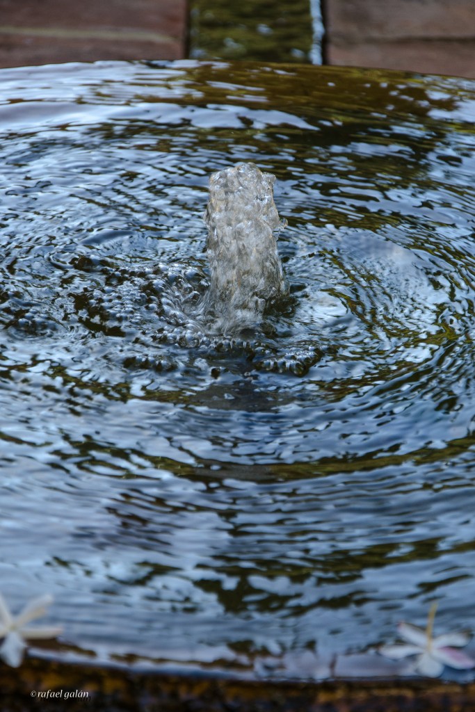 Alcázar de Jerez. Fuente
