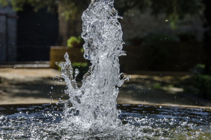 Alcázar de Jerez. Fuente