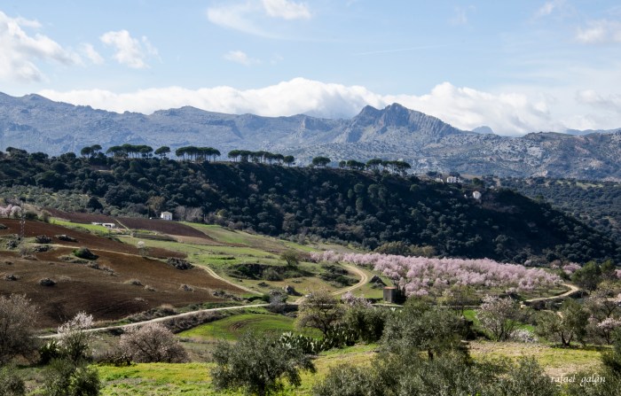 Ronda. Vistas de la Serranía