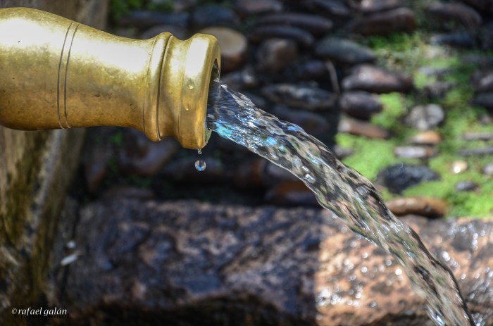 Córdoba. Mezquita-Catedral