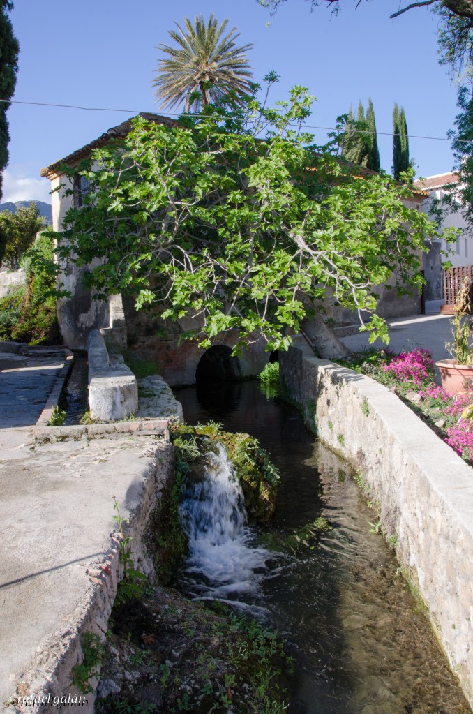 Vélez de Benaudalla. Jardín Nazarí