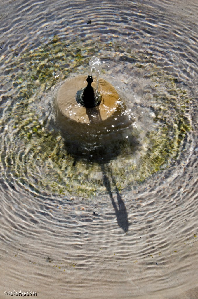 Vélez de Benaudalla. Jardín Nazarí