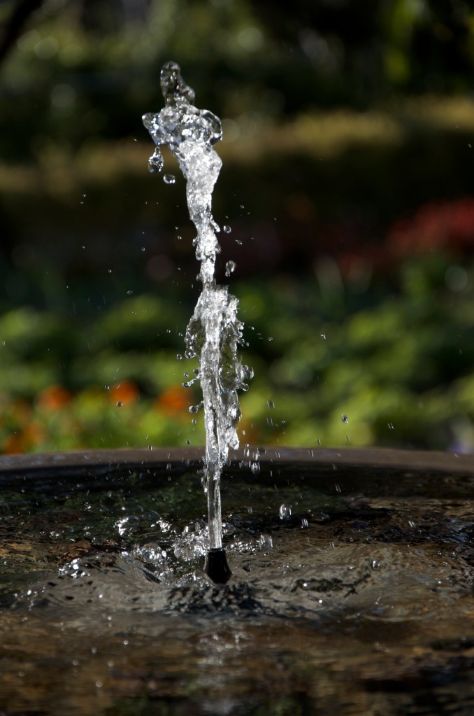 Vélez de Benaudalla. Jardín Nazarí