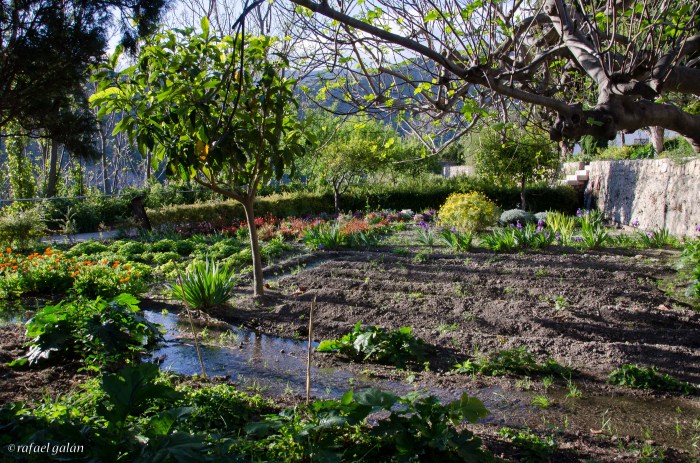 Vélez de Benaudalla. Jardín Nazarí