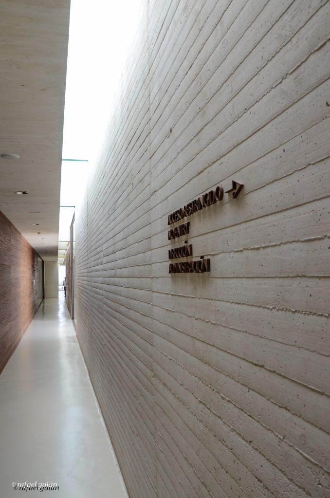 Museo de Medina Azahara