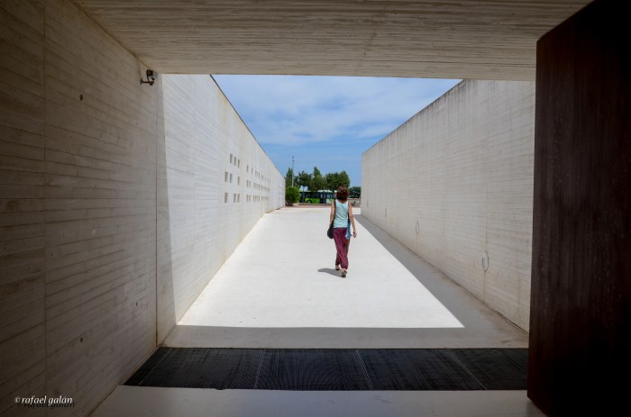Museo de Medina Azahara