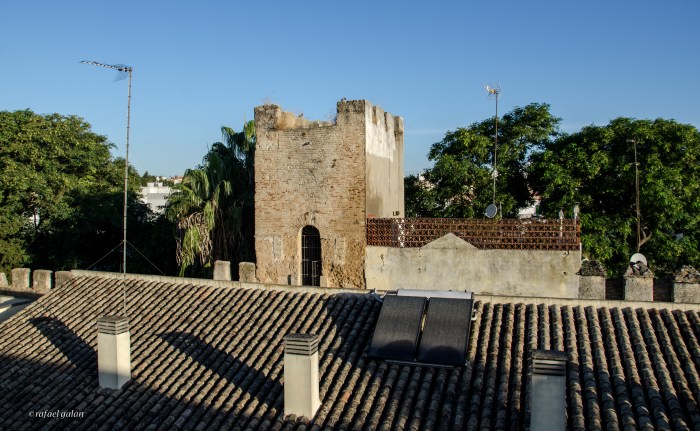 Jerez. Muralla de la calle Porvera