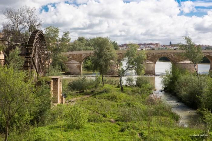 Molino de la Albolafia y Puente Romano