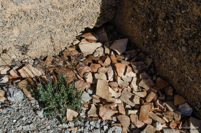 El Castillejo de Los Guájares