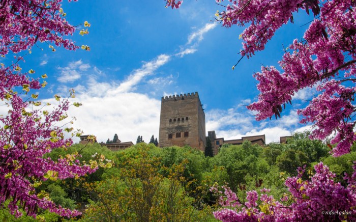 La Alhambra, Granada