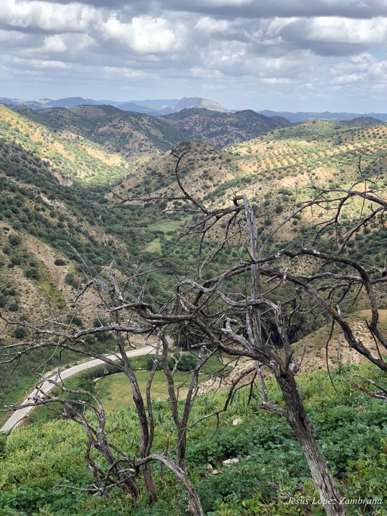 Vista hacia el peñón de Zaframagón.
